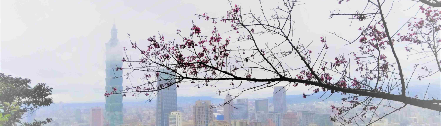 台北直飛中國哪些城市？